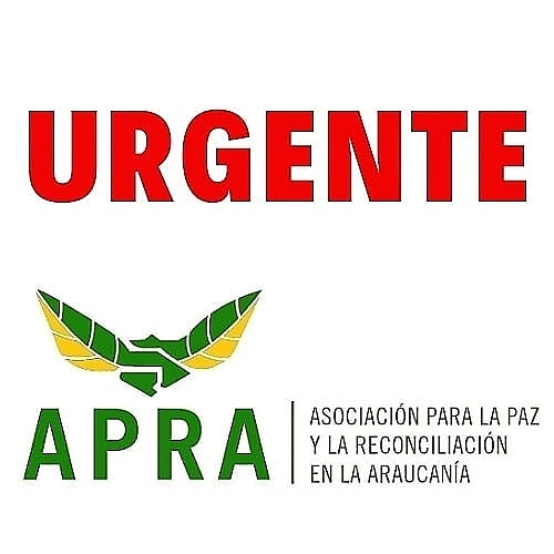 🔴Curacautín

Atacaron a prestadores de servicios agrícolas que estaban trabajando en Agricola Río Blanco en la comuna de Curacautìn. Los apedrearon y quebraron vidrios de tractor y camioneta. A uno de los prestadores le llegó piedrazo en la mano.

Preliminar