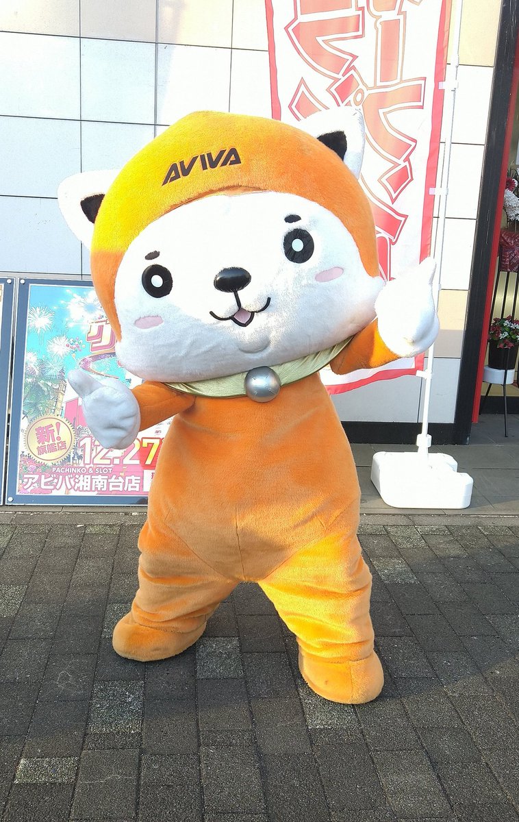 アビバ湘南台店 Twitter Search アビバ湘南台店 Twitter Search