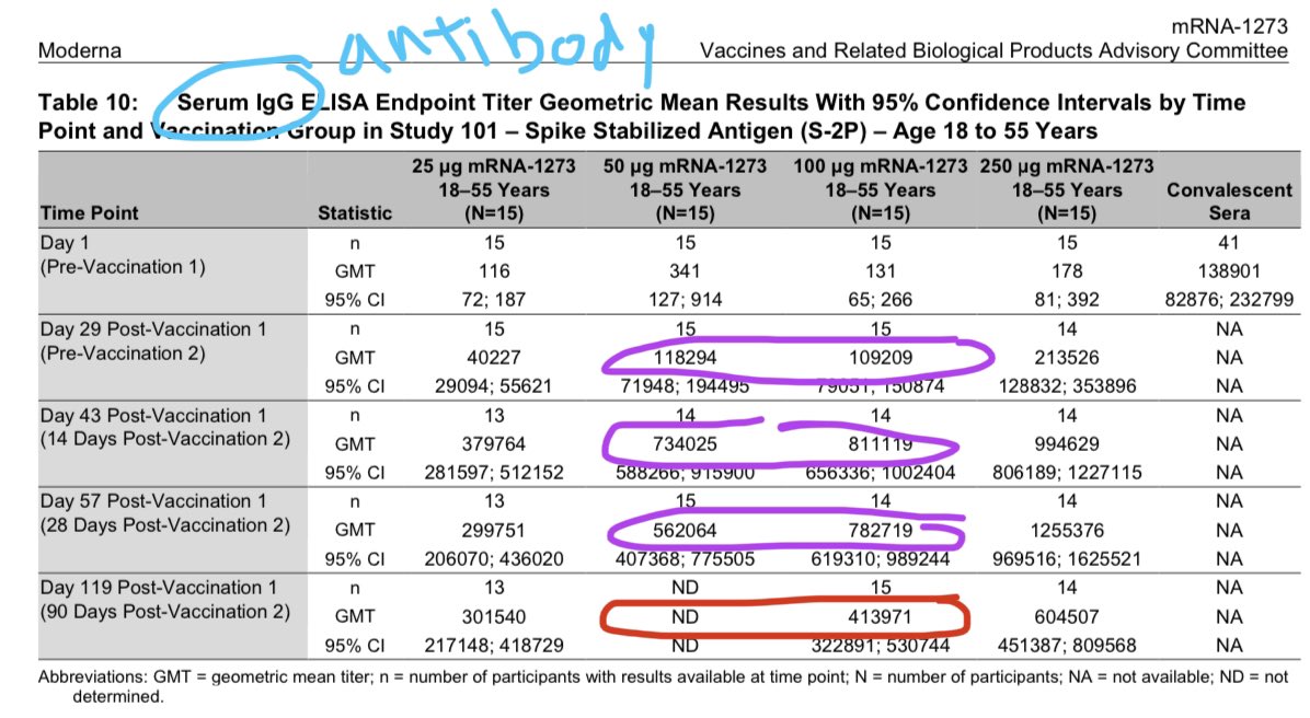 5) First, the tiny Phase 1 trial with 15 people per arm: IgG antibody levels of spike protein recognizing antigen. Similar for 50 vs 100. Minor decline on day 57 but not sure if real. But no Day 119 comparison.