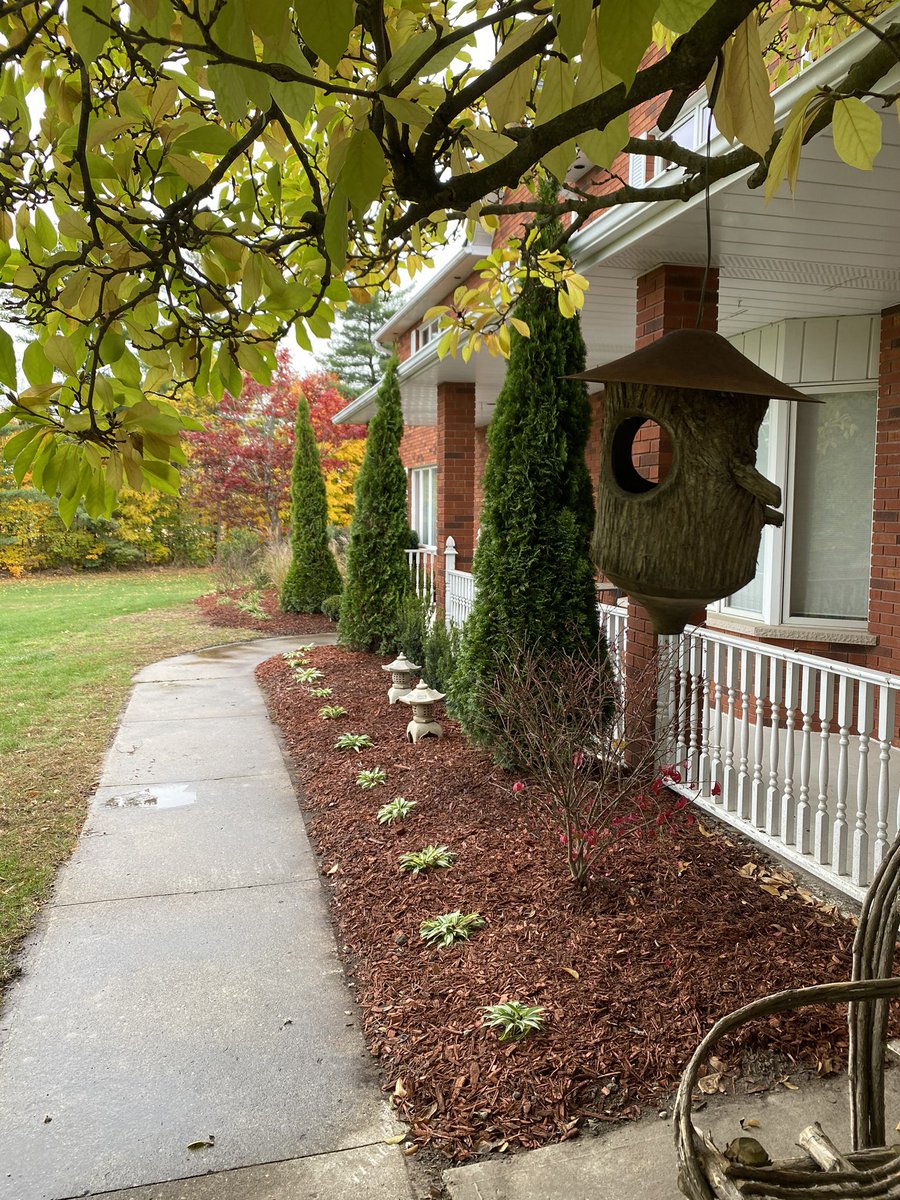 I’ll start us off with pictures of my first tobogganing in over a decade, a re-developed flower garden, a garage Christmas, and our new raised vegetable garden.