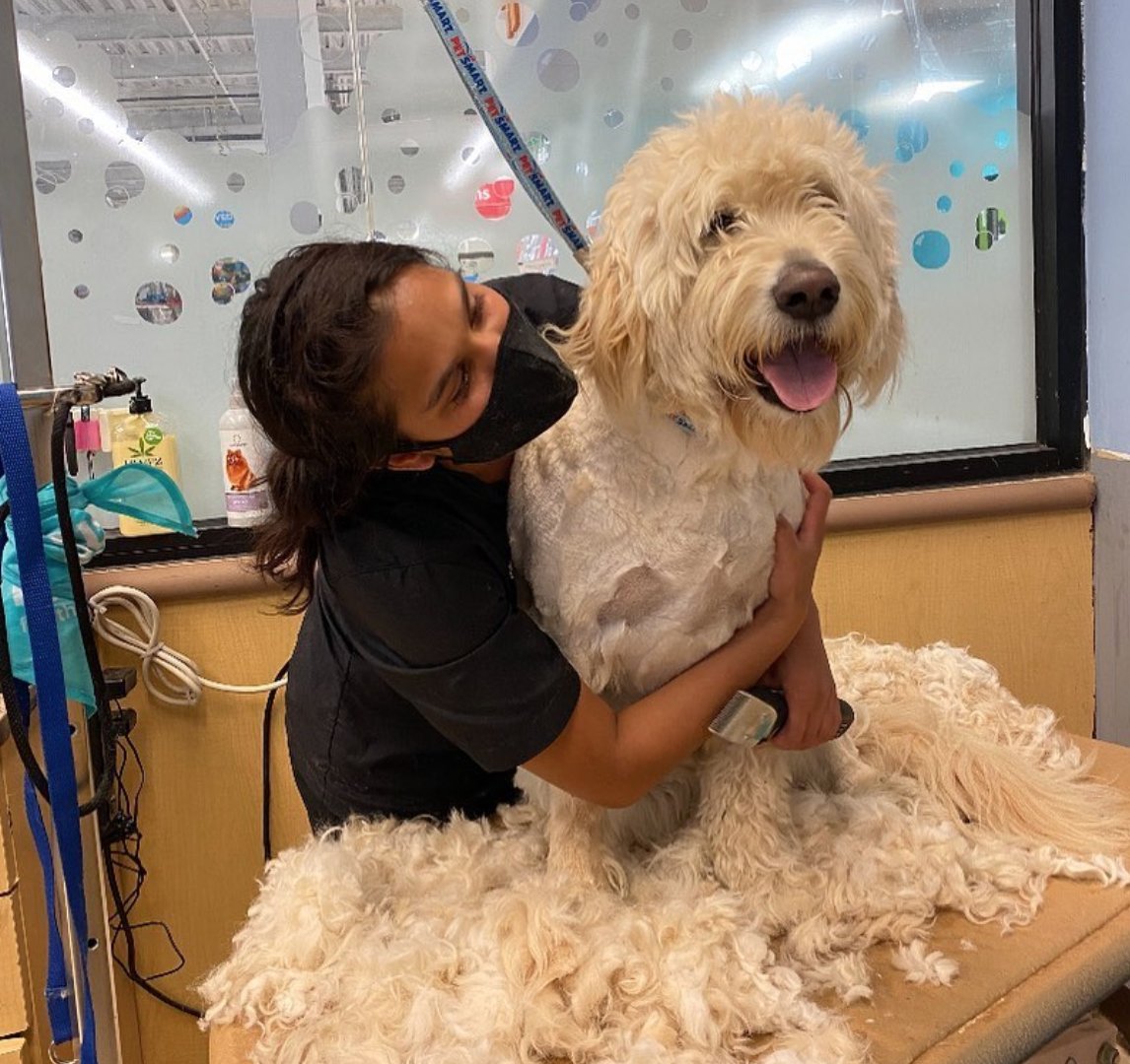Give your career a fresh look as a groomer at PetSmart! We're looking for more passionate pet people to add to our pack in our #PetSmartGrooming salons!
We focus on career development &amp; offer PAID training to start. Learn more at careers.petsmart.com/salons.

📷: petsmartgrooming0747