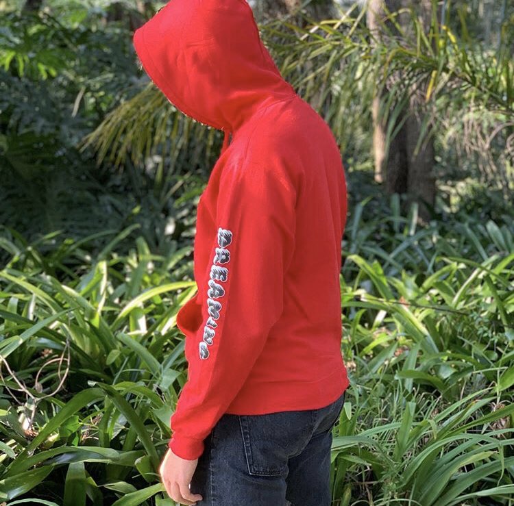 - you can see the shadow of the hair in his merch shoot , and its styled similar to the hair in this pic (imo). the way its styled in a forwards swoop of sorts. and the sun highlighting it is similar