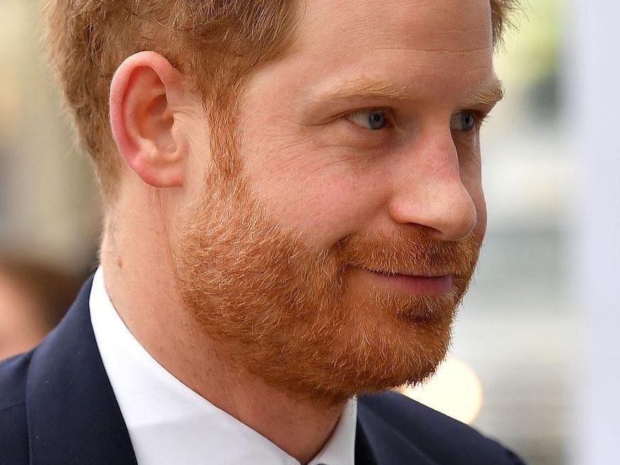Prince Harry and Oprah's TV series delayed Report
