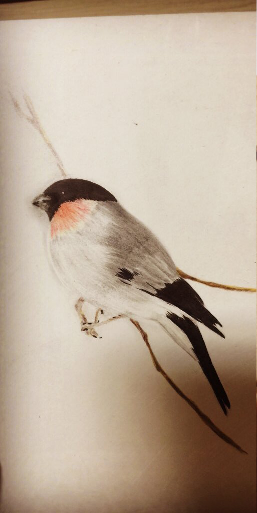 「ふと子供の頃に描いた絵を探してたら見つけた、小学生の頃に描いた鳥さん(前にも載せ」|Jam☆２月２１日頃新刊発売予定☆のイラスト