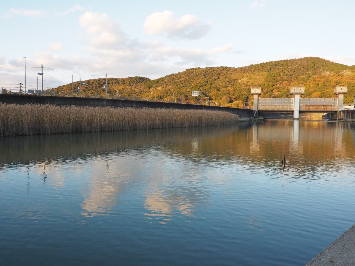 LARGOa107v's tweet photo. 明けましておめでとう御座います。

2019年8月。
高知県高知市を流れる下田川で南国市の稲生小学生に通う岡林優空くん(7歳)が亡くなってから、2回目の正月を迎えました。

#高知県小学生水難事故 
#風化防止
#有耶無耶にさせない https://t.co/5opbfiOIbV