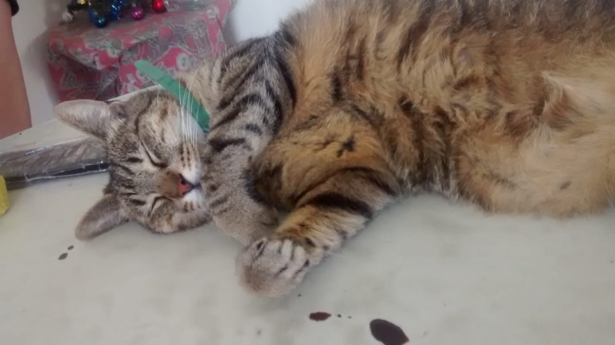 Quisiera estar así😝