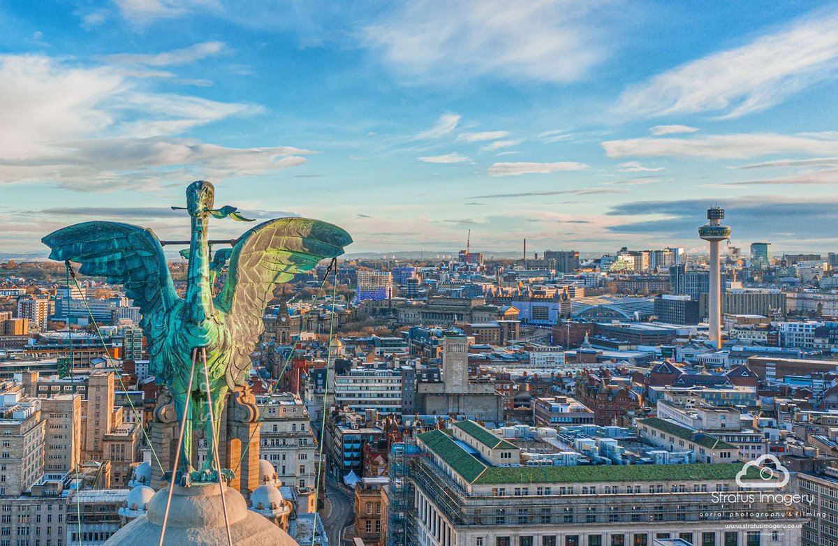 Morning Bella 💞Liver birds designed by Carl Bernard Bartels made from copper standing at 18ft tall stratusimagery.co.uk @YOLiverpool @angiesliverpool @realrobinjmac65 @tonymc39 @stjohnsbeacon @thedustyteapot @MikeRoyden @Waite99D @phil_oates #liverbirds #liverpool #uav