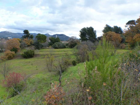 Destimed's tweet photo. 🐔🐔 @AMPMetropole cherche paysans désespérément ! Un terrain est disponible en plein @marseille 
https://t.co/qIksS0cd4J
#Agriculure #marseille #paysan #Aixmarseilleprovence https://t.co/0mT90U4CZe