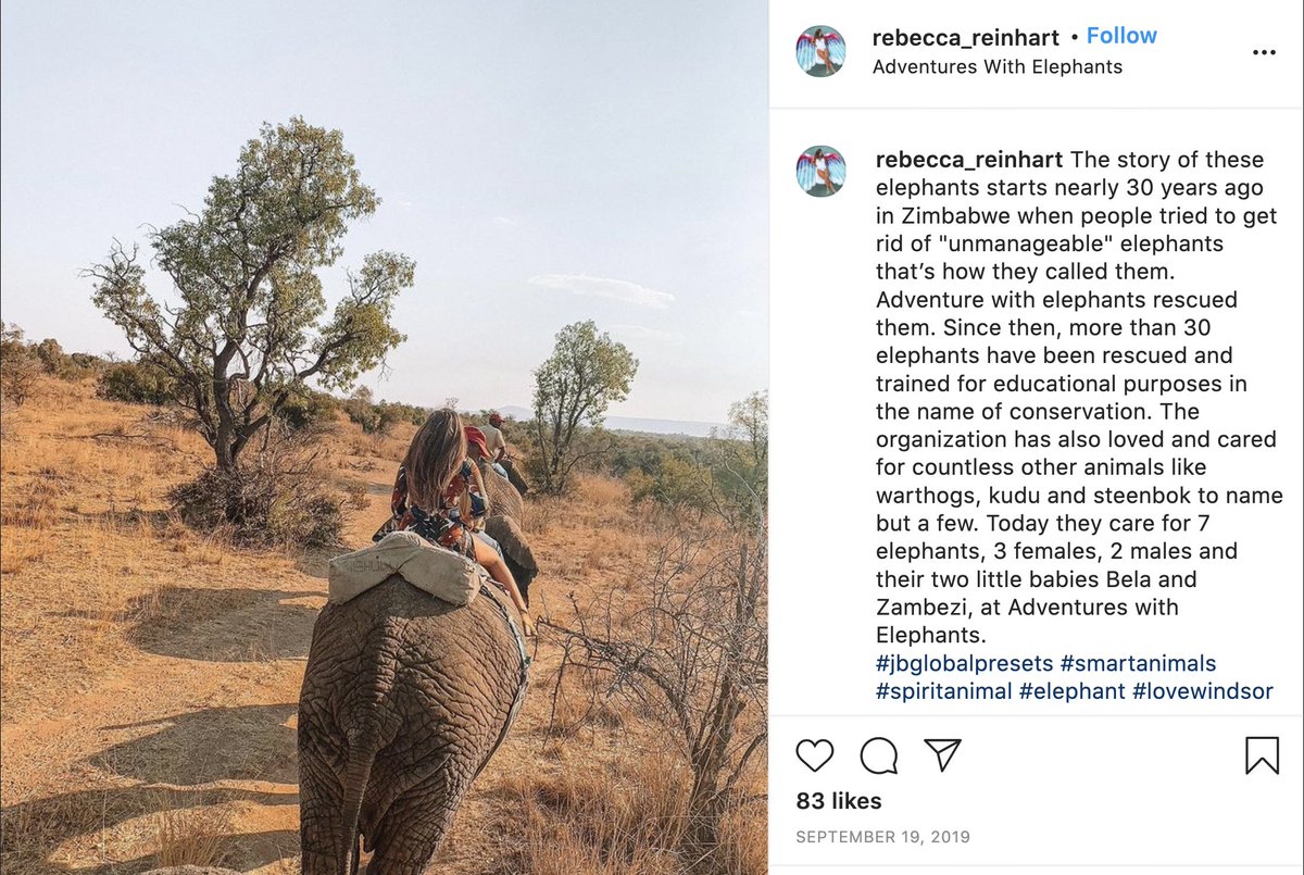 7. This is what fake sanctuaries like Adventures with Elephants do so well...they convince visitors they're actually taking part in helping to protect endangered species. Read this woman's instagram caption to see what I'm talking about and notice how she's riding an elephant.