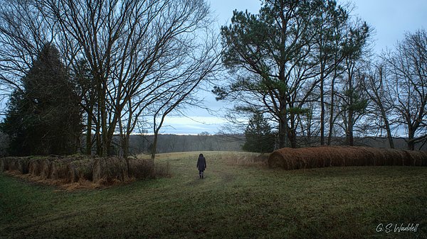 New artwork for sale! - "Kentucky Morning" - fineartamerica.com/featured/kentu… @fineartamerica