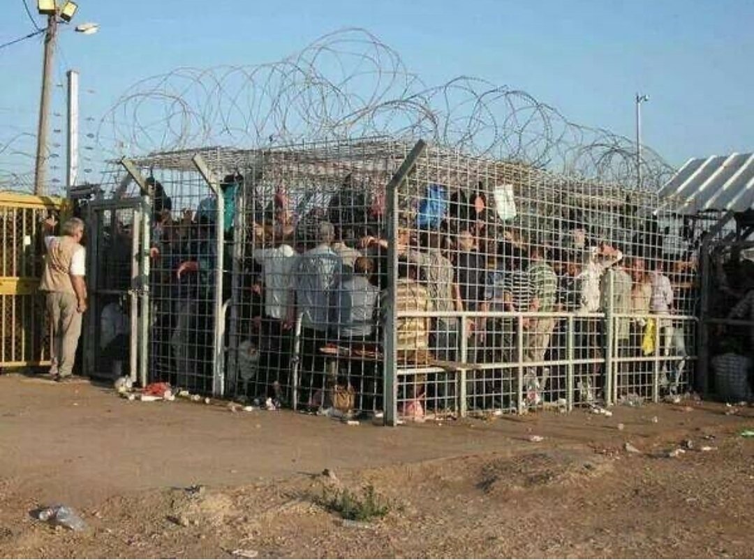 - Sionista: 😭 Holocausto, nunca otra vez! - Persona: 🤔 Oye, pero ese es un checkpoint, lugar donde son humillados los palestinos todos los días por Israel. - Sionista: 😤😠 Cállate antisemita, nazi... Denunciado por racista!
