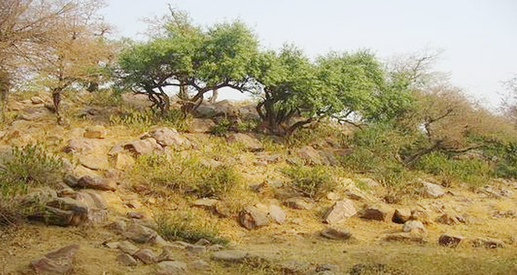 പെയ്യുന്ന മഴയില്‍ ജനങ്ങളും ഗോക്കളും വിഷമിച്ചപ്പോഴാണ് കൃഷ്ണന്‍ ഒരു പര്‍വതം എടുത്തുയര്‍ത്തിയത്. പരന്ന രൂപത്തിലുള്ള പര്‍വതമായിരുന്നു അത്. നാട്ടുകാരെയും ഗോക്കളെയും മുഴുനവനായി അതിനടിയില്‍ ഉള്‍ക്കൊള്ളാനായി. ഇന്ദ്രന്റെ കോപം ഏഴു ദിവസം നീണ്ടു നിന്നു. ഈ ഏഴു ദിവസവും കൃഷ്ണന്‍ പര്‍വതം 3