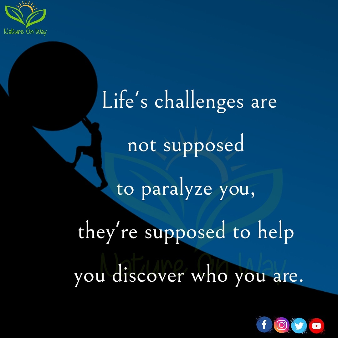 NatureOnWay's tweet photo. Discover who you are👍

#natureonway #lovequotes #likes #lifequotes #motivation #inspiration #nature #success #postivevibes #quotes #lifestyleguide #goodsouls #nicepersonality #LifeLessons #soulmate #behaviours #experiences #regrets #respect #healthyliving #timeflies #familytime https://t.co/WmLkmNdLVC