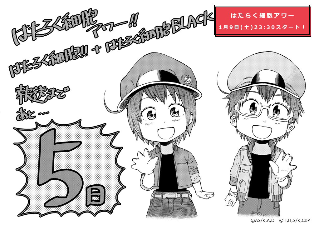 はたらく細胞black 公式 En Twitter 放送まであと5日 Tvアニメ はたらく細胞black 1月9日 土 24 00から放送開始 はたらく細胞baby の福田泰宏先生からカウントダウンイラストが到着 かわいい赤血球2人 Blackでは 右側の赤血球が奮闘します はたらく細胞black 公式 En Twitter 放送まであと5日 Tvアニメ はたらく細胞black 1月9日 土 24 00から放送開始 はたらく細胞baby の福田泰宏先生からカウントダウンイラストが到着 かわいい赤血球2人 Blackでは 右側の赤血球が奮闘します