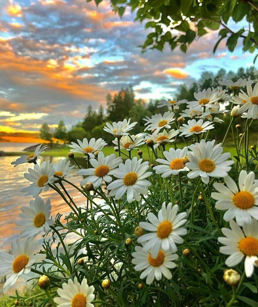 1zyn0's tweet photo. Yolu doğru olanın yükü ağır olurmuş #Kuran #sabahnamazı https://t.co/CT8ZJ9XcXe