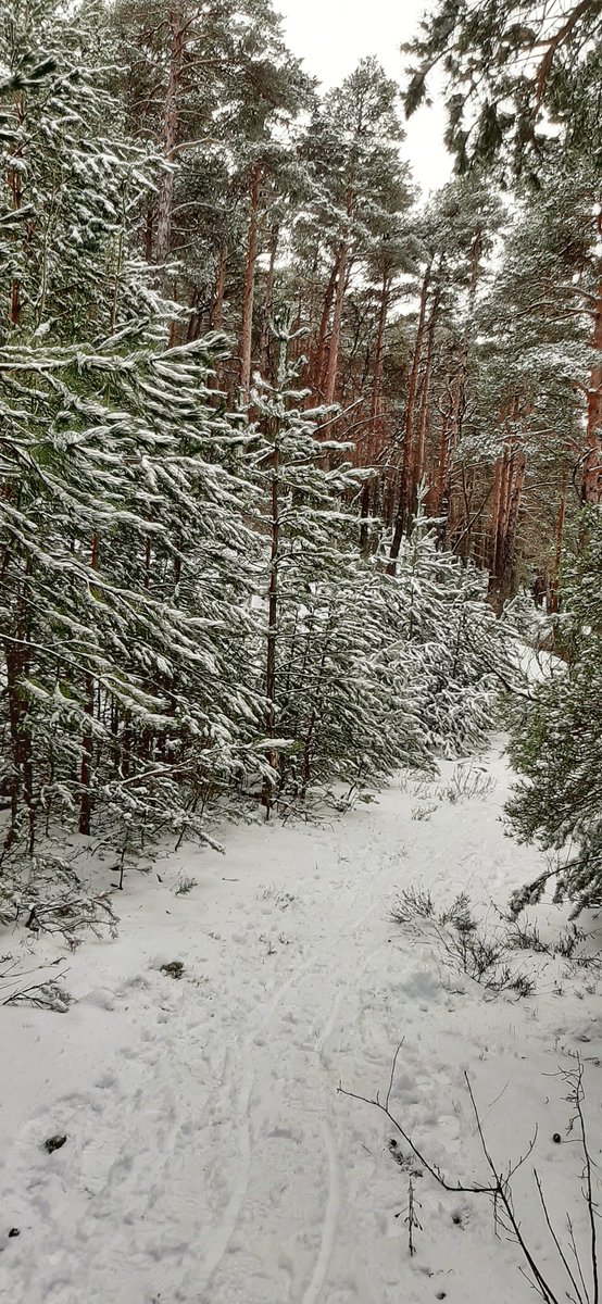 ProvenceChezN's tweet image. Snow in Provence. This Brazilian heart is filled with joy.
#provence #snow #letitsnow