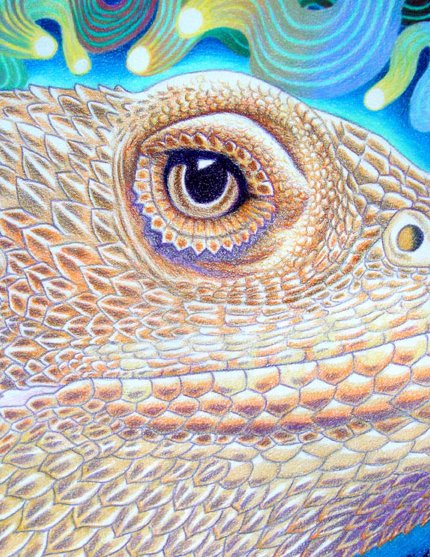 AngelaDeRiso-Artist tweet media