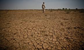 The economic impact of climate change on Africa can be disastrous. GDP in all the five Africa sub-regions could fall by 50 to 85 % by 2050 if #climatechange is left unabated.