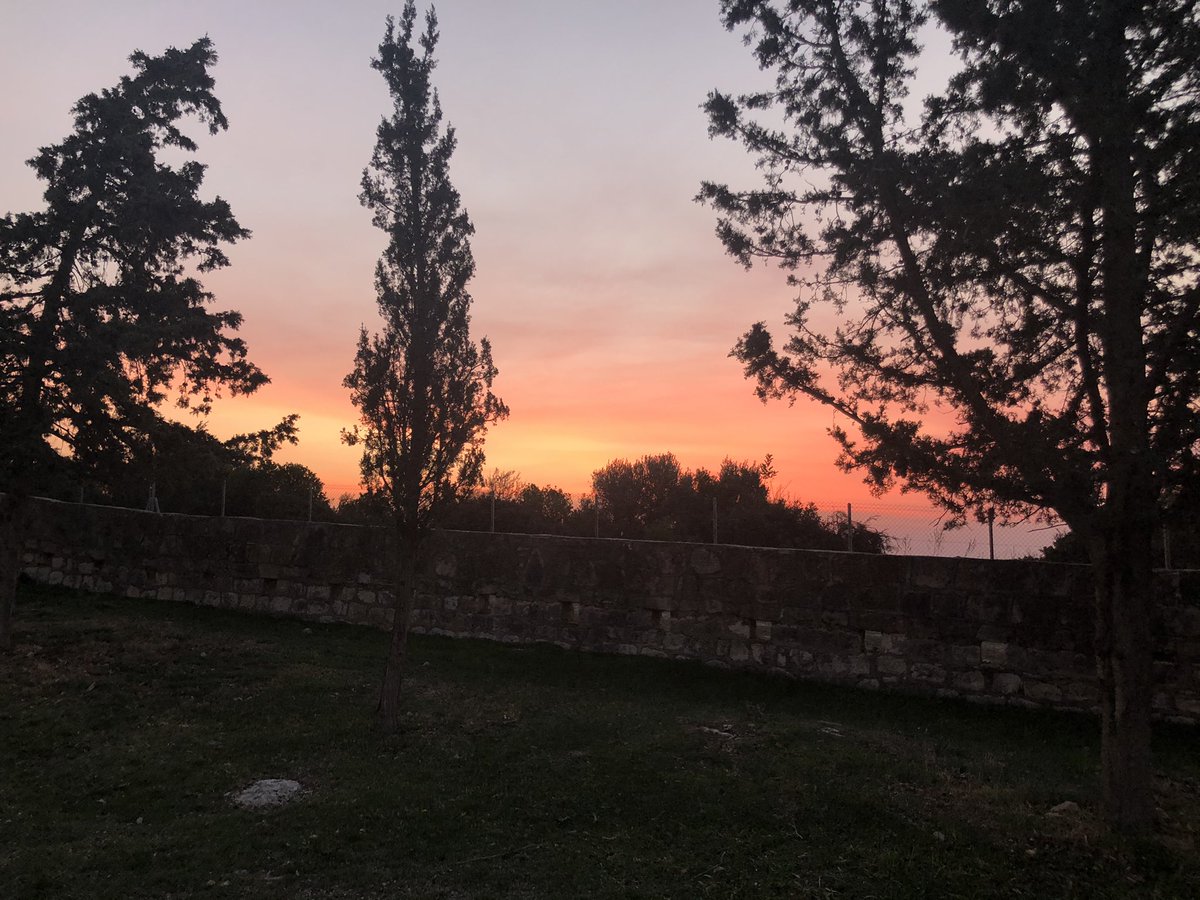 robinecyprus's tweet photo. #first walk to work of 2021 here in #Cyprus - hopefully no #shepardswarning as weather looks warm and dry today! https://t.co/t5VdF3th21