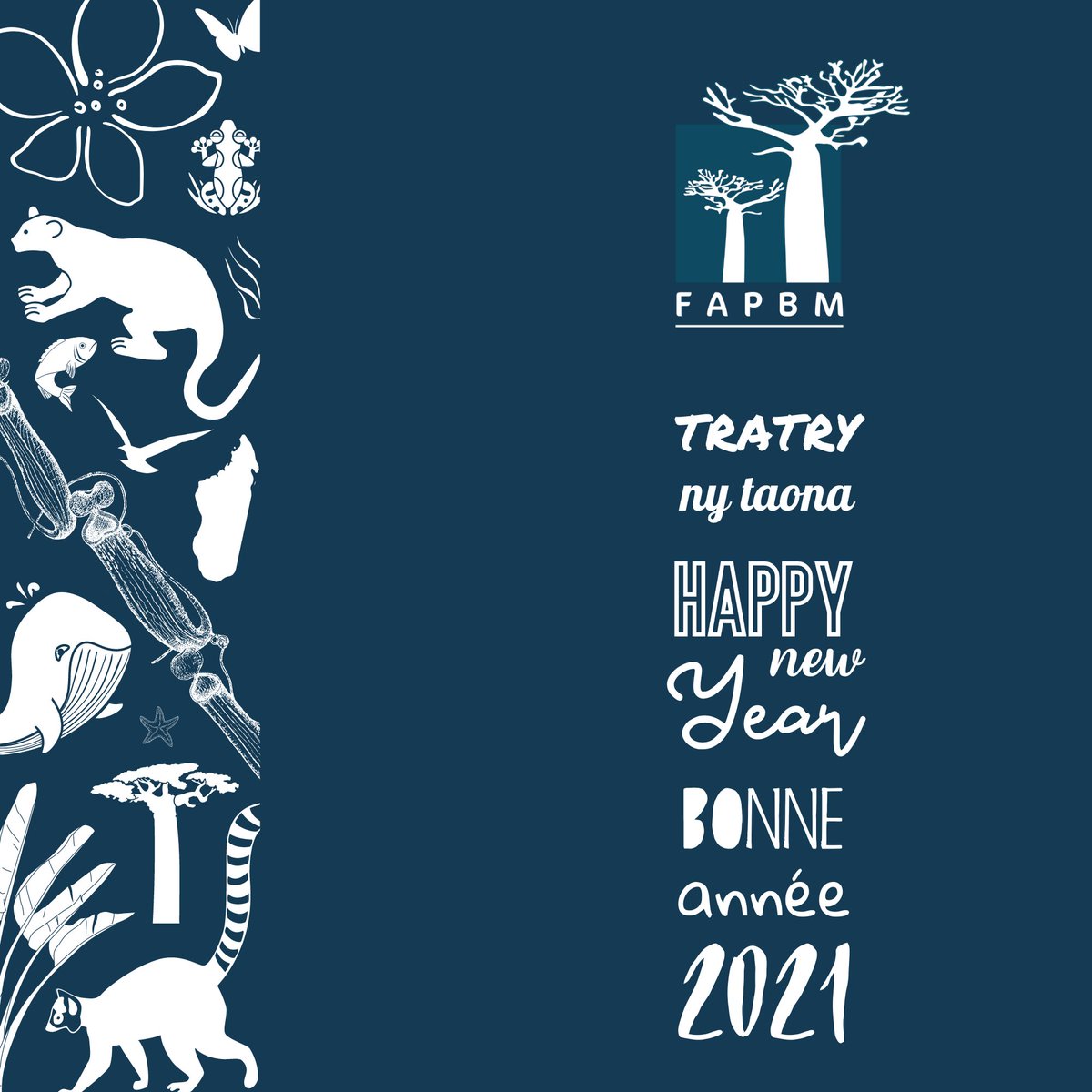 FAPBM's tweet photo. 🎉 The @FAPBM 's team wishes you happiness, prosperity and health for 2021. 
Together, let's take up this year the challenges of biodiversity conservation for the sake of future generations! 
🌍♻️  

#biodiversity #protected_area #Madagascar #fapbm #conservation #sustainable_fund https://t.co/uPghPaTwEd