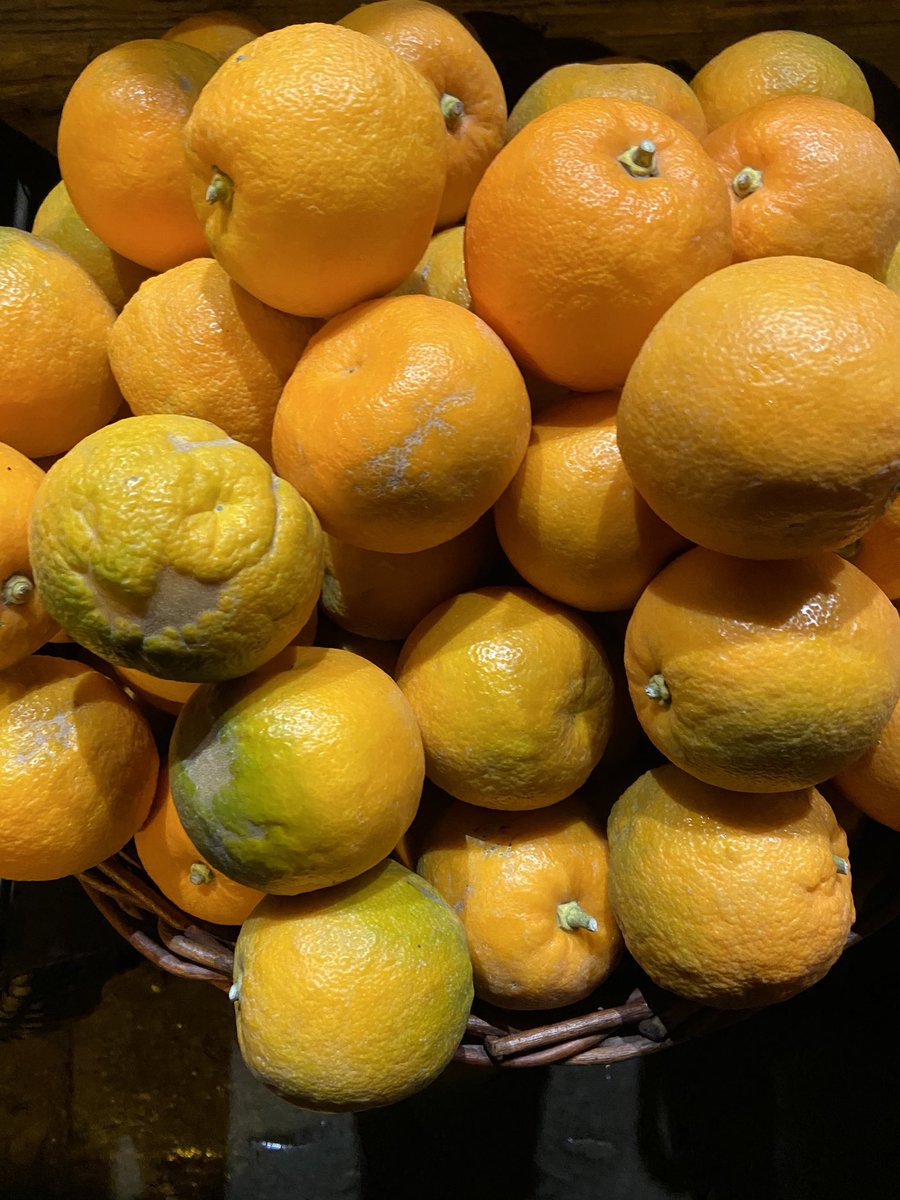 Seville’s are in!!!!
Someone tell Paddington.