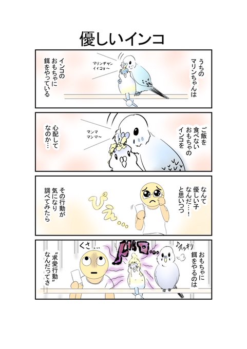 優しいインコ
#インコ #漫画  #落書き #お絵描き #冬の創作クラスターフォロー祭り #絵 