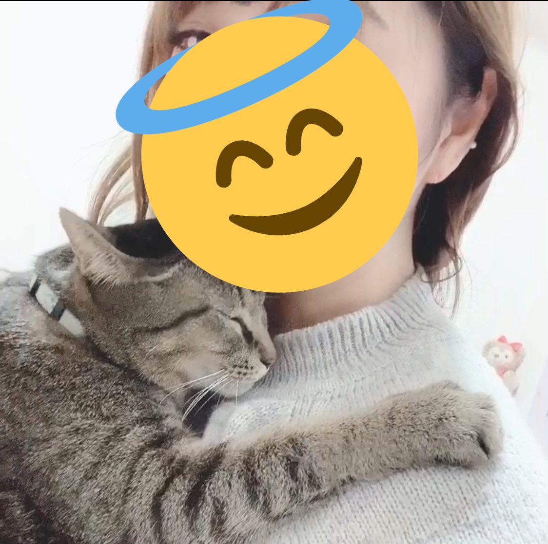 negipuni's tweet photo. 画質悪いけど…
とにかく甘えん坊で抱っこが大好きなねぎまるくん🥰🥰🥰🥰🥰
 #我が家のねこ自慢　#キジトラ https://t.co/2IuaVb31Er