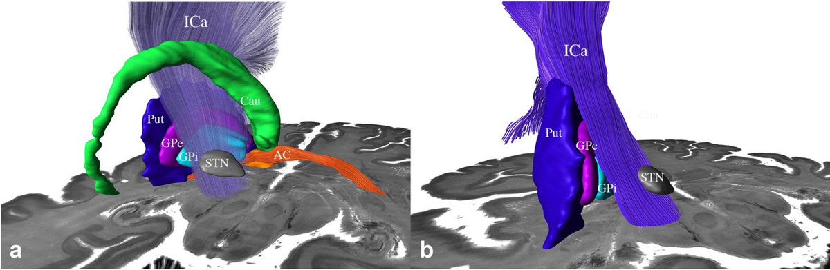 Andreas Horn tweet media