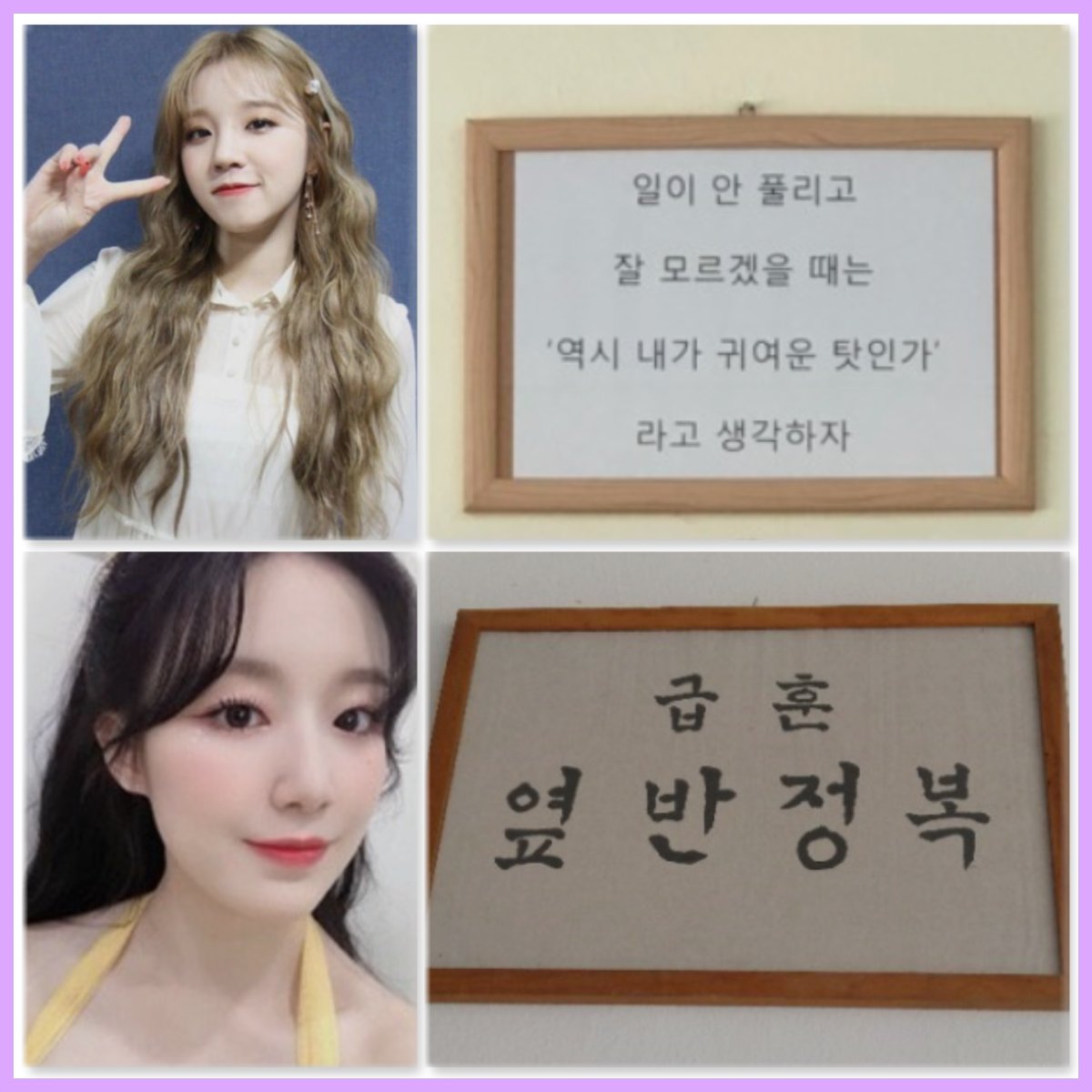 네버랜드 tweet media