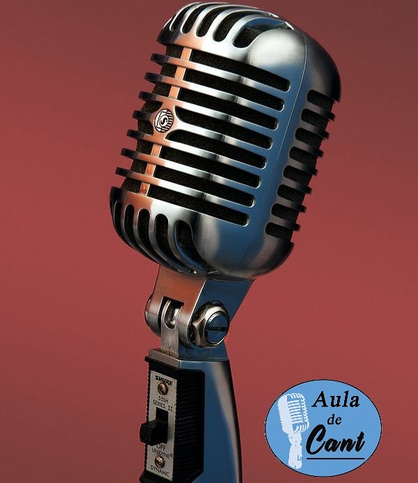 Classes de cant i d'instrument.
Concerts i musicals anuals.
.
.
#musica #clasesdecanto #clasespiano #clasesdeguitarra #tecnicavocal #maresme #mataro #canetdemar #calella #pinedademar #arenysdemar #premiademar #vilassardemar #auladecant #cant  #vocalcoach