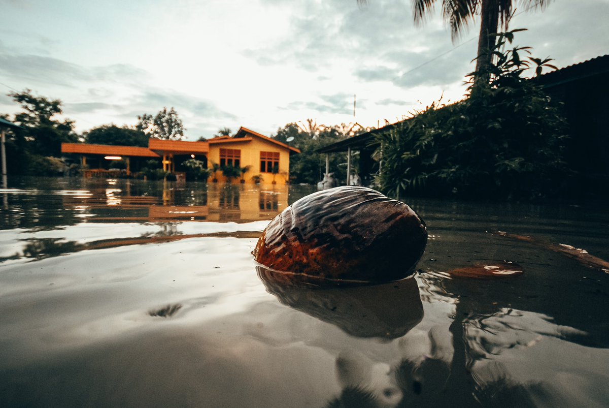 Ini perkara yg mungkin RAMAI TAK TAHU bila berlaku banjir.Ini berdasarkan pengalaman 3x duduk pusat pemindahan banjir.1. Makanan BUKAN satu masalah besar. Malah ia berlimpah ruah sampai beberapa bulan tak habis. Semua bagi bantuan makanan.*Sambil kongsi gambar banjir lepas.