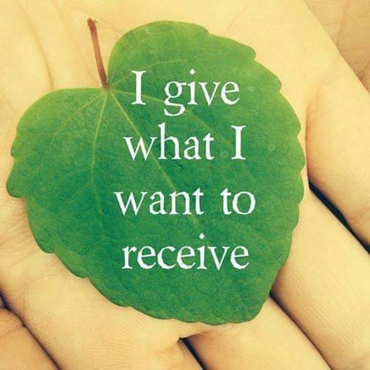 Mari Jo Mentzer-Doyle tweet media