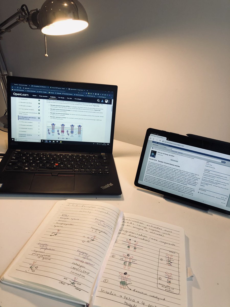NWC_STEM's tweet image. Mr Merk enjoying today’s academic research time using @OUFreeLearning to delve in to the depths of signal transduction pathways in biology ☺️👨‍🏫👨‍🔬🧬🔬📚 #NWCAlwaysLearning @NorthwoodGDST