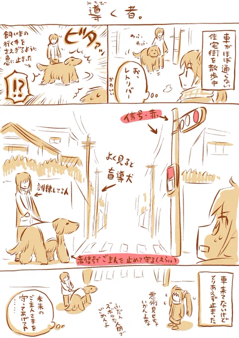 負うた子に教えられて浅瀬を渡る。
#補助犬 #盲導犬 