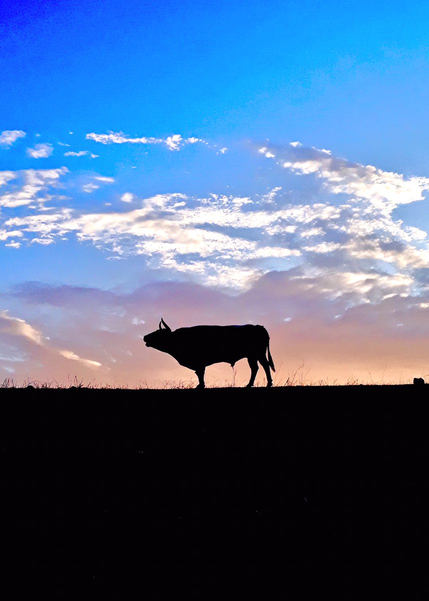 <a href="/JodaryRuchena/">Jodar y Ruchena</a> Fotaza.