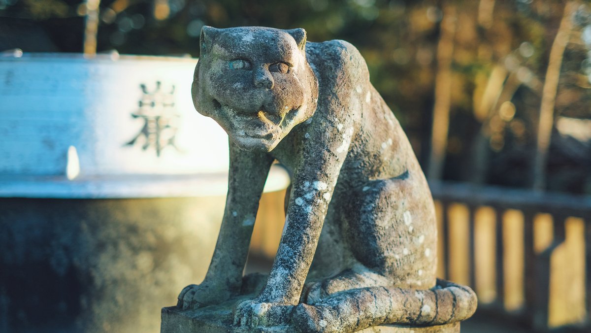 フロップデザイン フォントデザイナー Auf Twitter 初詣に行ってきました 狛犬 のキュート カッコイイお姿を撮ってきました 狛犬の表情が愛らしすぎ 群馬県 藤岡市 諏訪神社