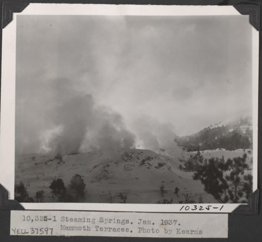 Steaming springs at Mammoth Terraces, January 1937.  Photograph by William E. Kearns, who was an Assistant Park Naturalist.  #OldYellowstone