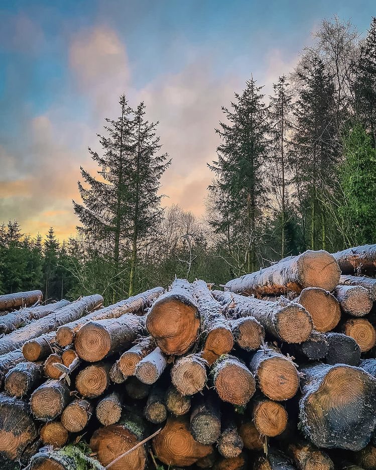 galwaytourism's tweet photo. Crisp winter morning on the Sliabh Aughty trail in east Galway 🌅❄️
📷Luisteix IG https://t.co/8siKn9aayo