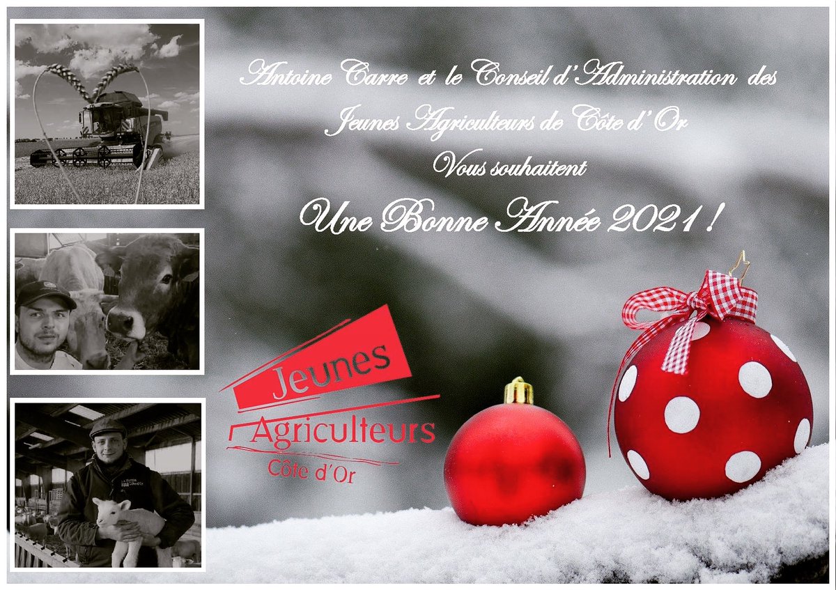 JA Côte d’Or tweet media