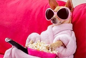 bebi_fernandez's tweet photo. Viendo el drama de mi vida en modo espectador. https://t.co/XNKPRBuSco