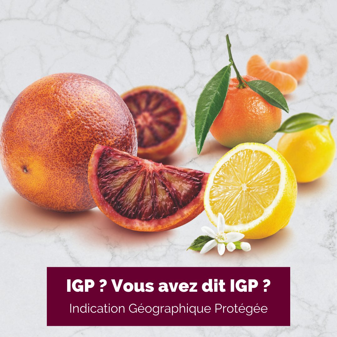 Agrumes IGP, le meilleur de la Méditerranée.
Citron de Syracuse, Clémentine de Corse, Orange sanguine de Sicile : nos 3 nouvelles saveurs sont issues de fruits d’Indications Géographiques Protégées (IGP). 
#IGP #NouvellesSaveurs #SansSucresAjoutés #PuréedeFruitsSurgelée