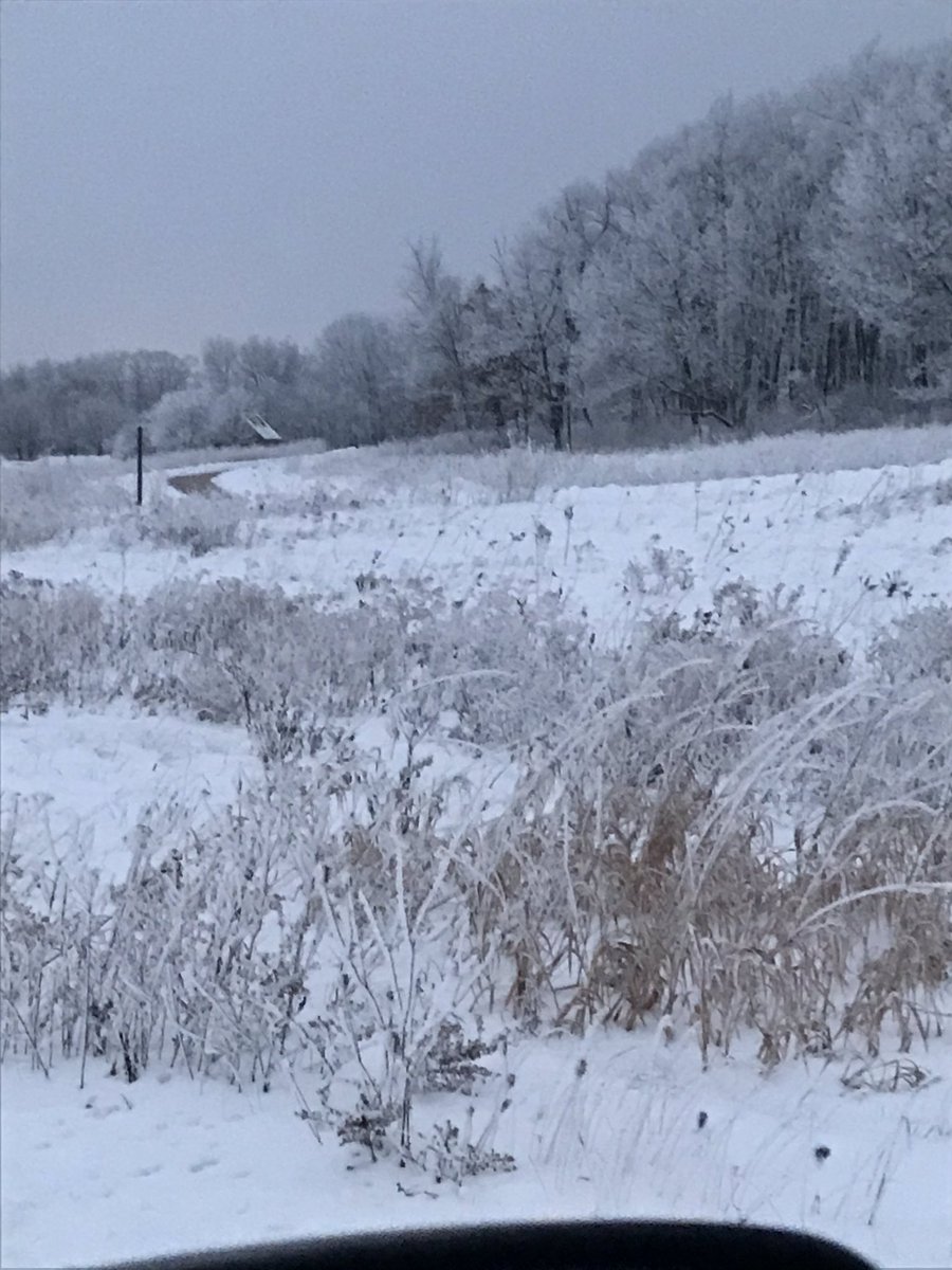 Tim Behrendt tweet media