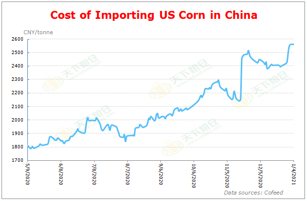 Cofeed5's tweet photo. Cost of Importing Corn in China--1/4/2021
https://t.co/lRg62d86K5

Is there anyone who can exchange this kind of info with us?
Thank you.

#Corn #ImportCost #China https://t.co/nXK98QOVH9