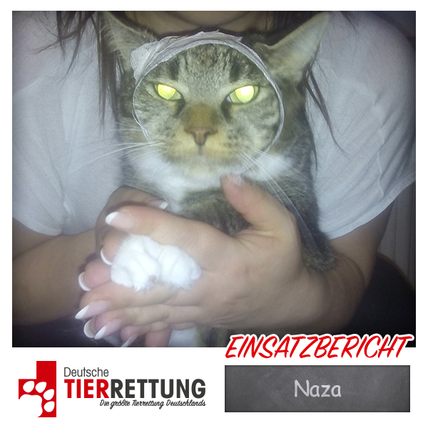 DtTierrettung's tweet photo. Tierrettung Einsatz: Naza in Lünen - https://t.co/nqzwS9Lfrk https://t.co/pDLDSh14jx