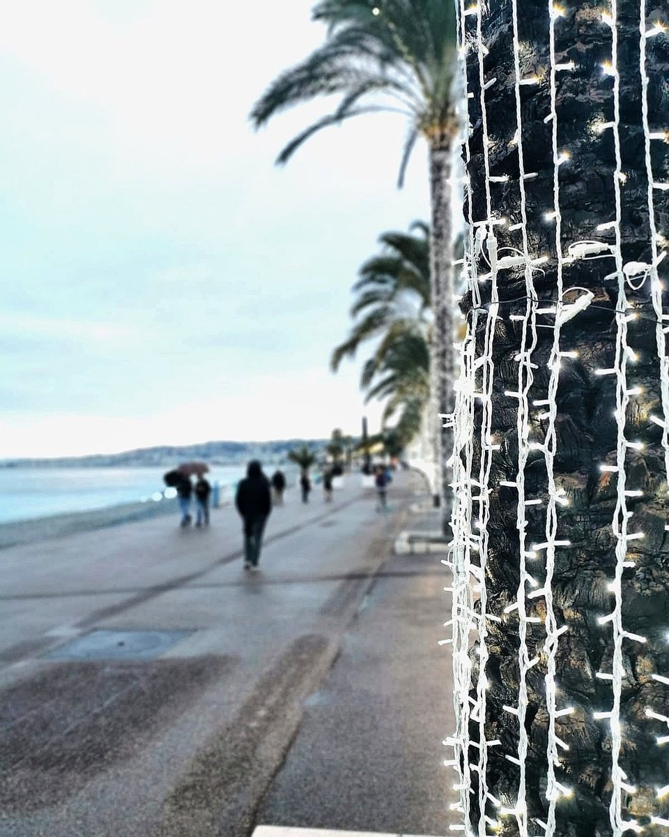 Bonne rentrée à tous !

Malgré ce temps peu encourageant et le couvre feu avancé, c'est le moment de prendre un nouveau départ 👌

#soccamedia #ILoveNice #explorenicecotedazur #CotedAzurFrance #nissalabella #tourism #paca #nice06 #topfrancephoto
#ohcotedazur