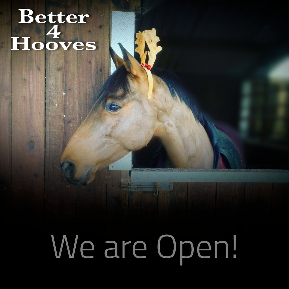 Better4Hooves tweet media