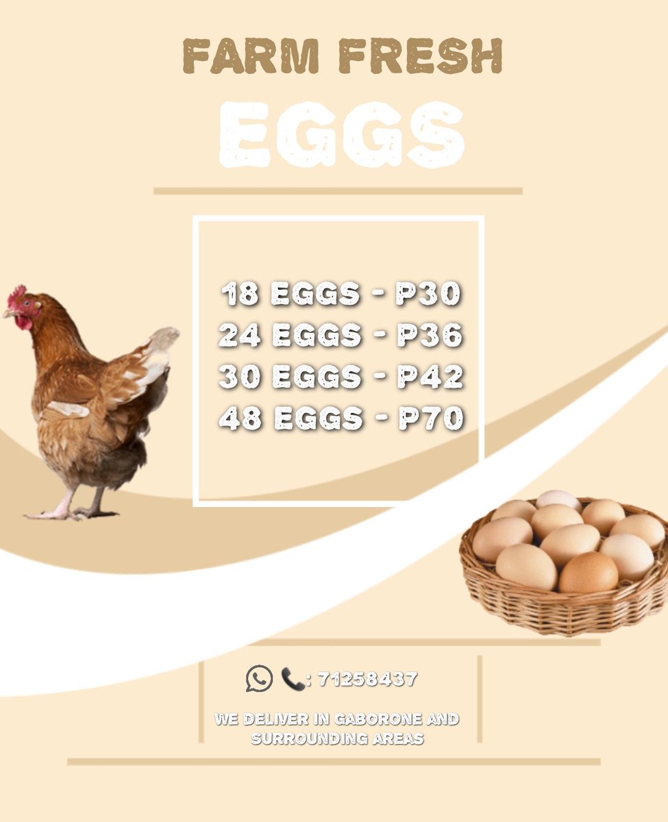 Eggs for sale guys 

Please RT 🙏🏽 contact me on 71258437 for order. WhatsApp and calls are welcome