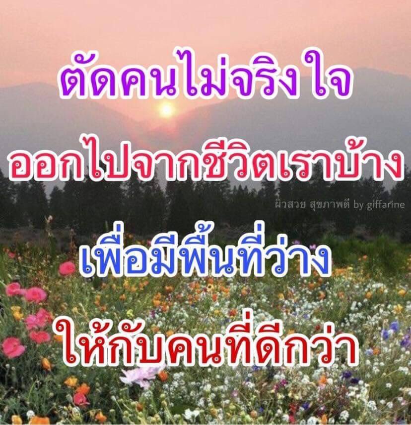 ทางของฉัน#ฝันของเธอ on Twitter: ทางของฉัน#ฝันของเธอ On Twitter: