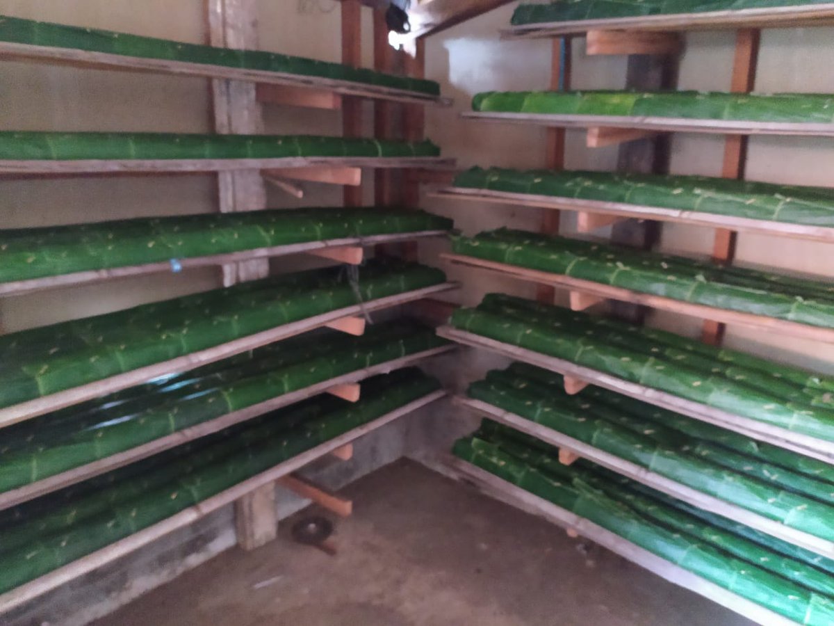 Satu lonjor panjang tempe bungkus daun pisang ini harganya Rp50rb. Biasanya 45rb. Ukuran juga berubah.