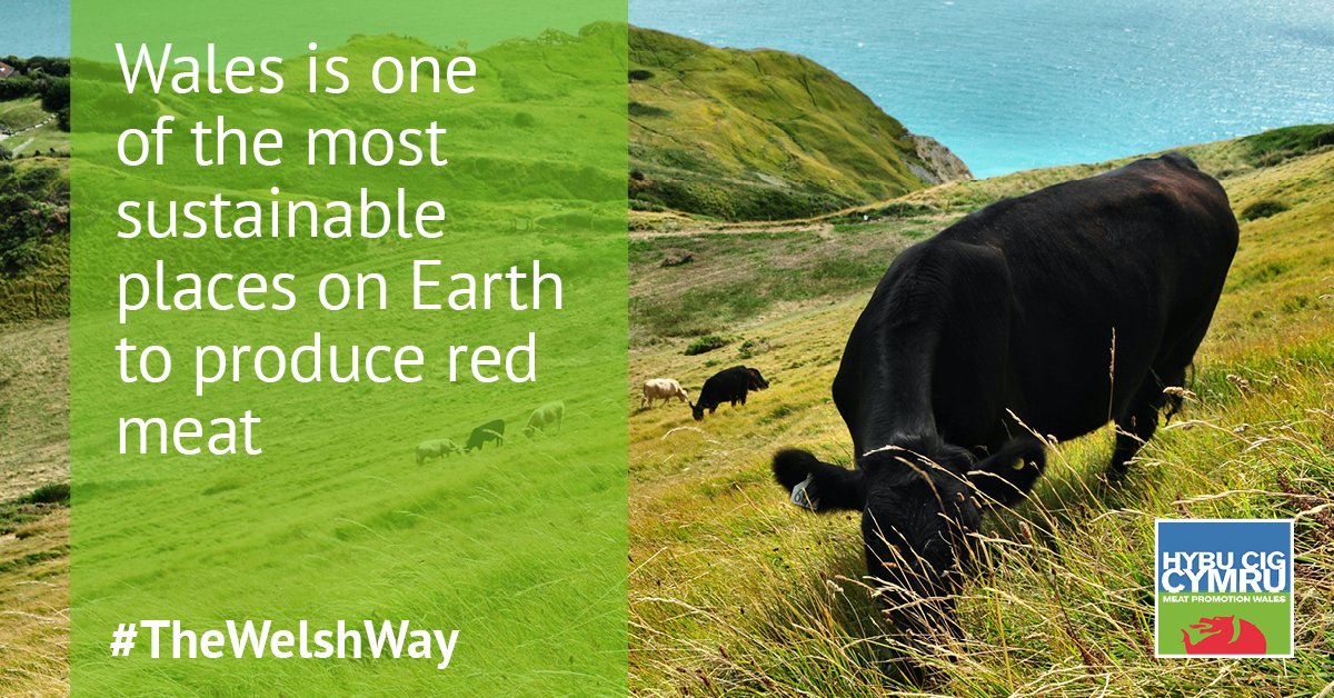 January is a time of year when it's important to have positive conversations about how red meat produced in #TheWelshWay is not only healthy but has less impact on the environment than many other foods. Download our social media resources here: meatpromotion.wales/en/news-indust…